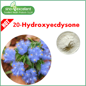 20-Hydroxyecdysone